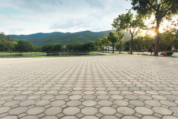 Best Local Driveway Pavers  in Fall River, WI